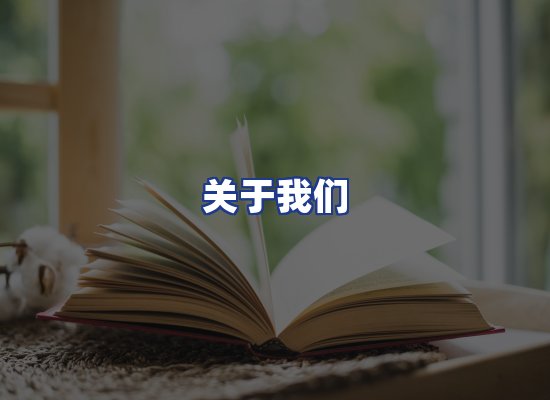 专业团队